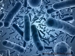 Exploring Bio‑Internet of Things: Could Bacteria Serve as Smart Nodes?