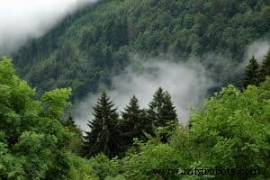 AI-Powered Tracking of Amazon Deforestation