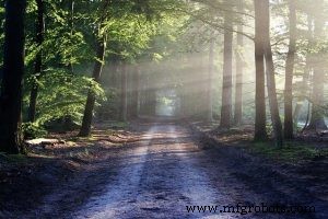 Dryad Networks Secures $2.1M Seed Funding to Deploy IoT  Internet of Trees  for Rapid Wildfire Detection