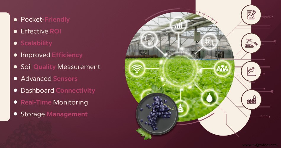 Revolutionizing Vineyard Operations: IoT-Driven Plant Monitoring System