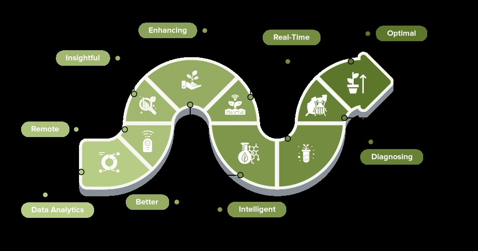 Biz4Intellia Soil Monitoring: Boosting Yields for Crops, Vegetables, Flowers, and Fruits