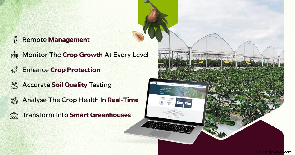 Biz4Intellia Revolutionizes Fig Cultivation with Digital Farming Solutions