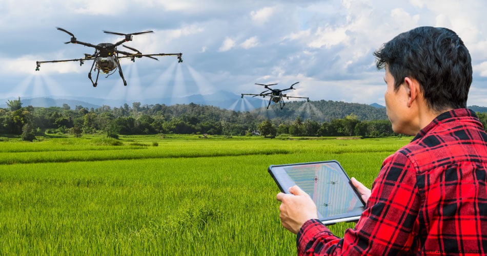 How IoT is Revolutionizing Agriculture: Impact on Plant Growth & Yield