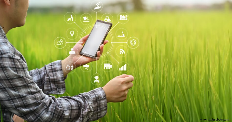 How IoT is Revolutionizing Agriculture: Impact on Plant Growth & Yield