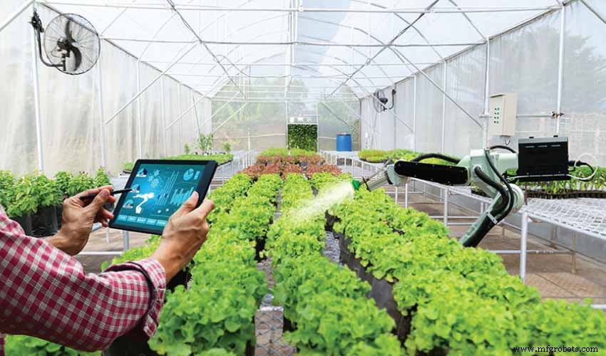 Revolutionizing Urban Life: IoT-Driven Smart City Solutions for Growth and Sustainability