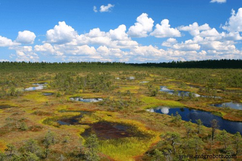 How 3D Printing Drives Sustainable Construction with Innovative Materials