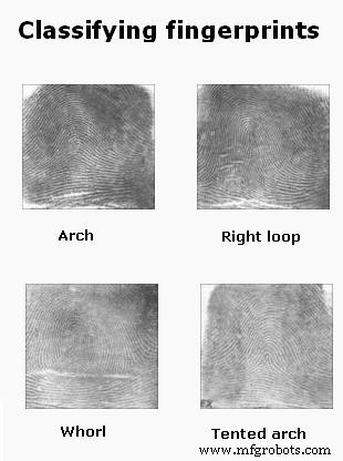 Understanding Automated Fingerprint Identification Systems: How They Work and Their Applications