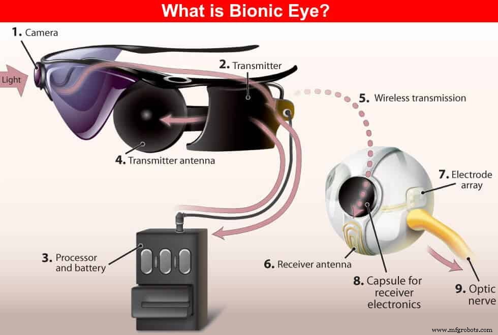 Bionic Eye Technology: How It Works and Its Benefits