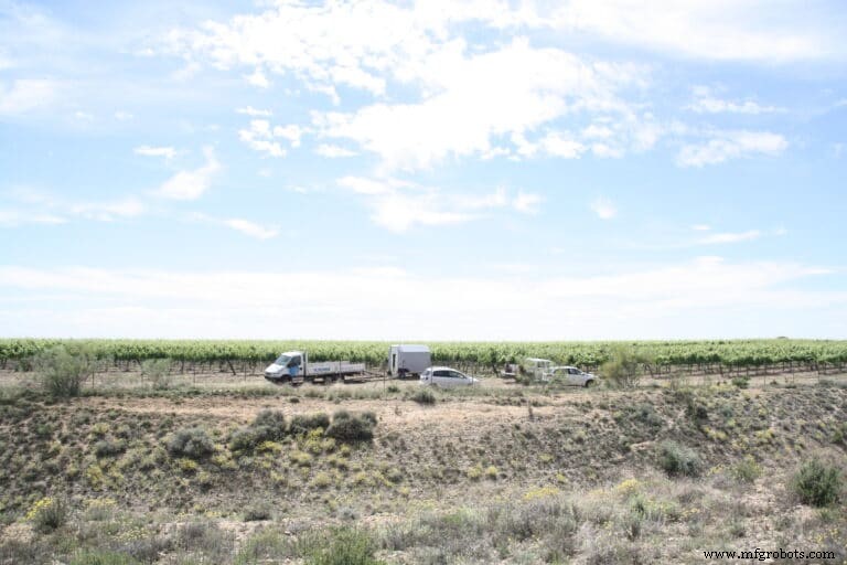 ROBOTRIM: Advanced Automated Vines Pruning System