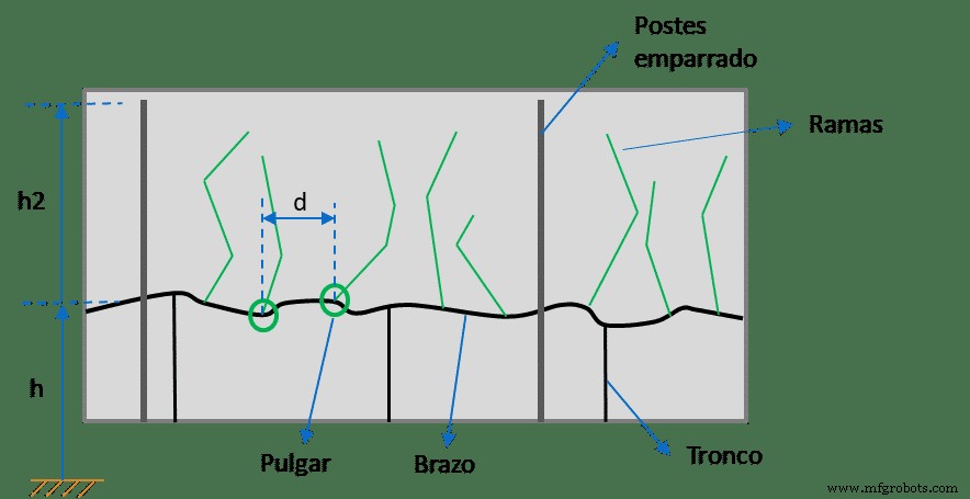 ROBOTRIM: Advanced Automated Vines Pruning System