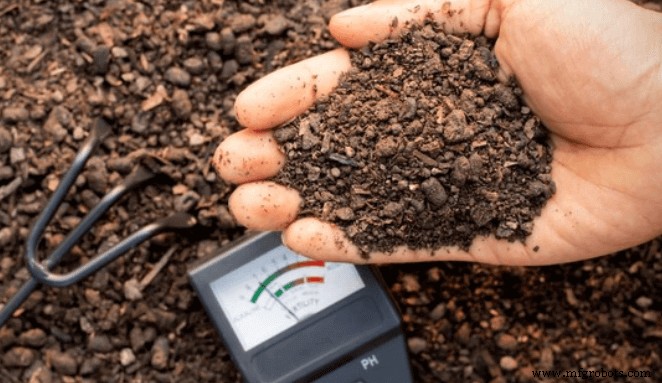 Agriculture 4.0: How New Technologies Are Transforming Farming