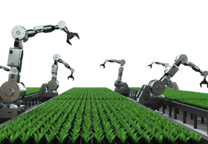 Agriculture 4.0: How New Technologies Are Transforming Farming