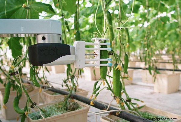 Exploring the Limits of AI: Capabilities, Scope, and Constraints