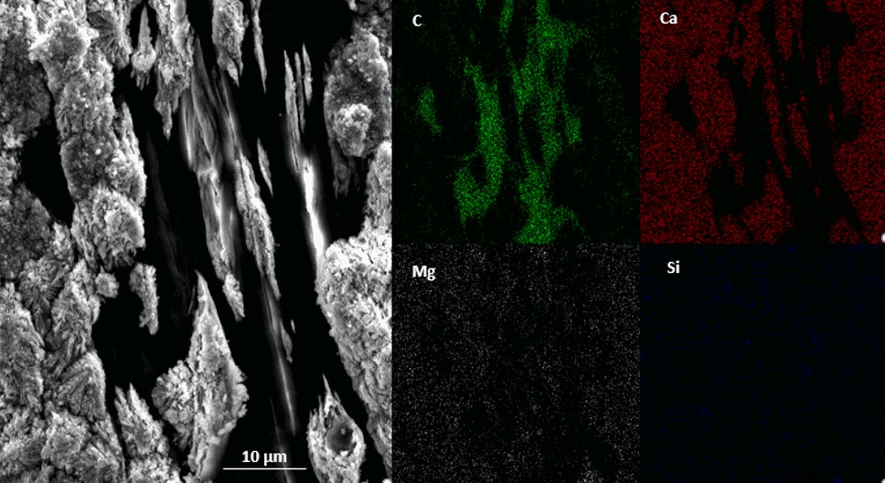 Scanning Electron Microscopy (SEM): Unveiling Materials Defects with Advanced Imaging