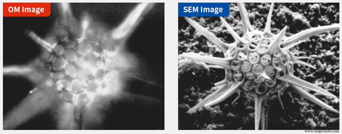 Scanning Electron Microscopy (SEM): Unveiling Materials Defects with Advanced Imaging