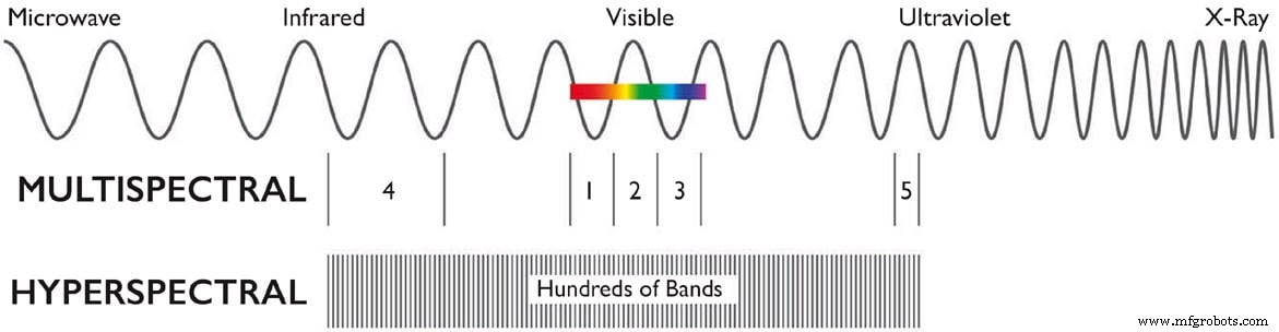 Revolutionizing Food Safety: Fast, Accurate Value Visualization with Hyperspectral Imaging