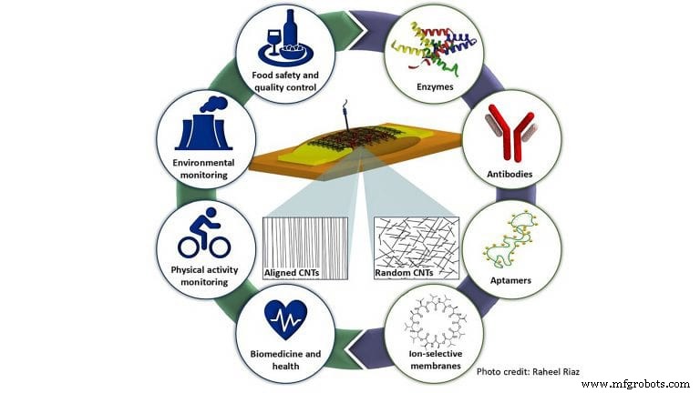 Field-Effect Transistor Biosensors Deliver High Sensitivity and Real-Time Detection Across Healthcare, Food Safety, and Environmental Monitoring