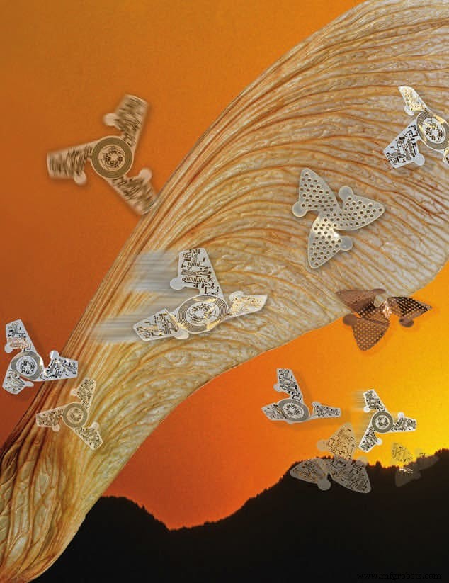 Winged Microchip Technology: 5 Essential Facts