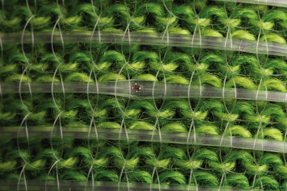 Programmable Digital Fiber: Sensing, Storing, and Analyzing Wearable Data