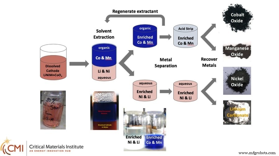 2021 Create the Future Contest: Sustainable Technologies Winner – Multifunctional Bionanocomposite Fruit Coatings
