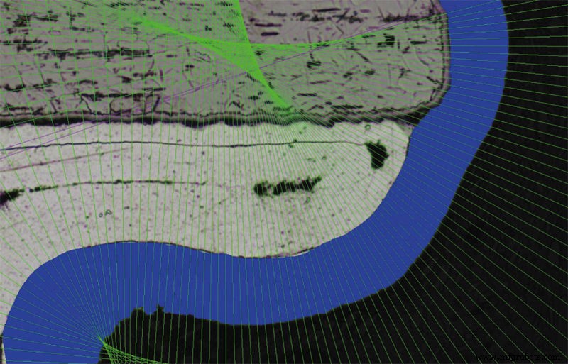 Nikon Introduces Precise Layer Thickness Measurement Software for Microscopes