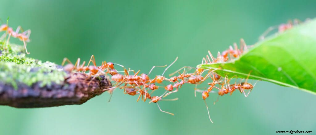 How AntWorks Uses Fractals & Data Ingestion to Scale RPA – Insights from Asheesh Mehra