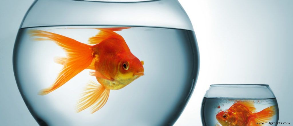 Can Automation Give Small Businesses a Competitive Edge Against Big Corporations?