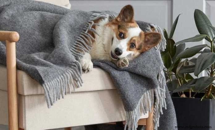 The Ultimate Guide to Throw Blankets: Comfort, Size, and Quality Tips