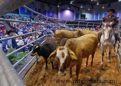 HDS Employees & Volunteers Drive the Houston Livestock Show & Rodeo