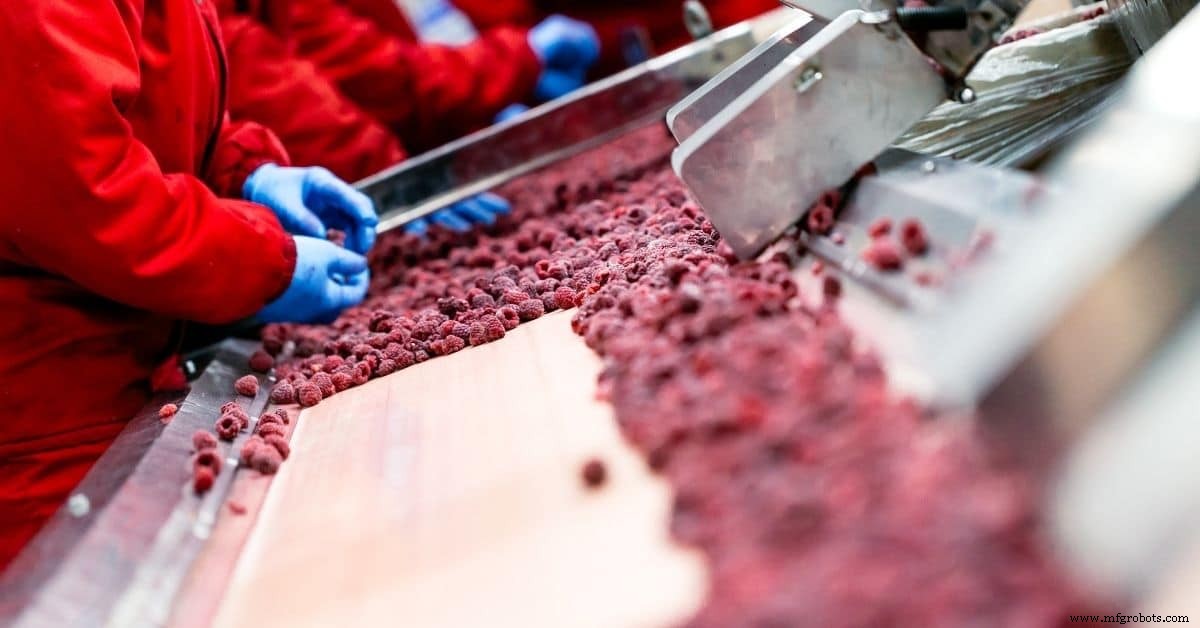 Optimizing the Frozen Food Supply Chain with Advanced Software Solutions