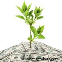 Cultivating Success: A Practical Guide to Sustainable Growth