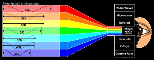 Understanding Blue Light Glasses: Benefits, Types, and How They Protect Your Eyes