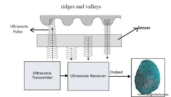 Fingerprint Scanners in Smartphones: Types, How They Work, and Security Benefits