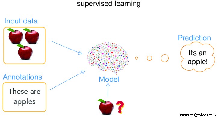 Machine Learning 101: Understanding the Four Core Types for Beginners