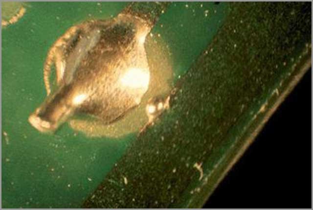 Proven PCB Soldering Techniques to Prevent Short‑Circuit Issues