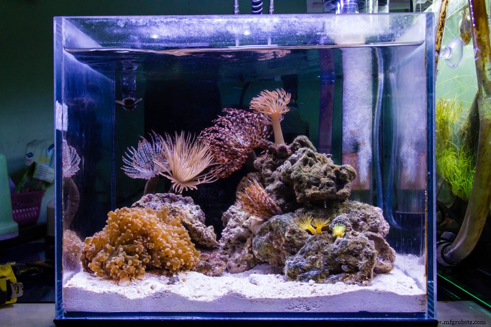 DIY LED Aquarium Lighting for Planted Tanks: A Complete Guide