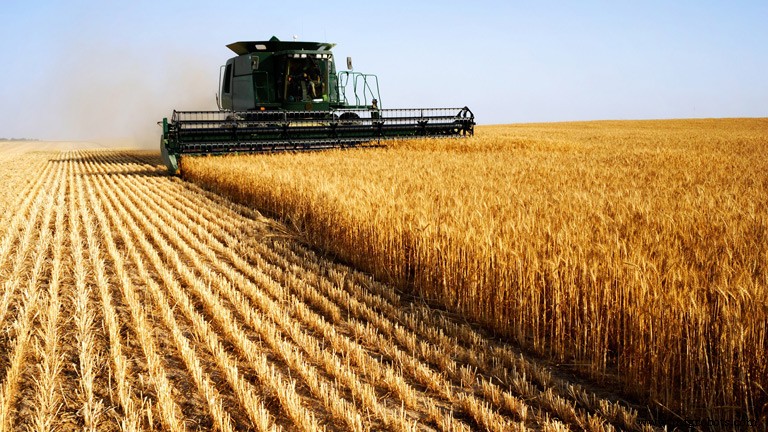 Robotics & Automation: Driving Sustainable Development