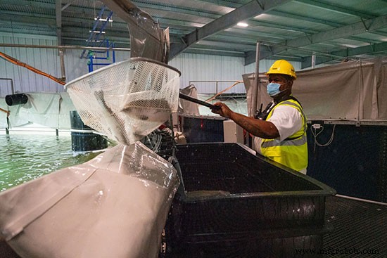 Beyond Crypto: Miami’s Rise as a Manufacturing Hub for Tech, Tourism, and Ocean Cleanup