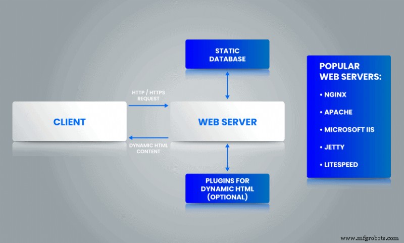 Web Server vs. Application Server: Key Differences & How to Choose the Right One