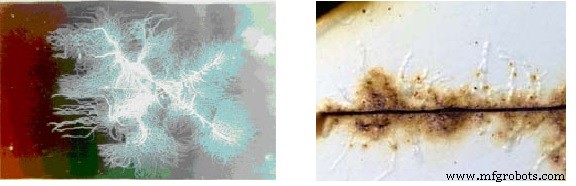 Preventing Filiform Corrosion: Expert Strategies for Under-Coating Protection