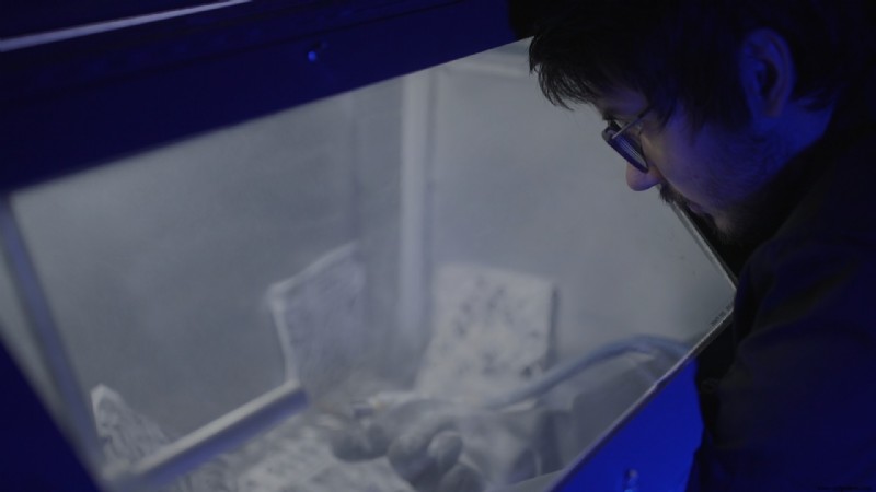 Industry Leaders Discuss How Efficiency Drives Sustainable Manufacturing