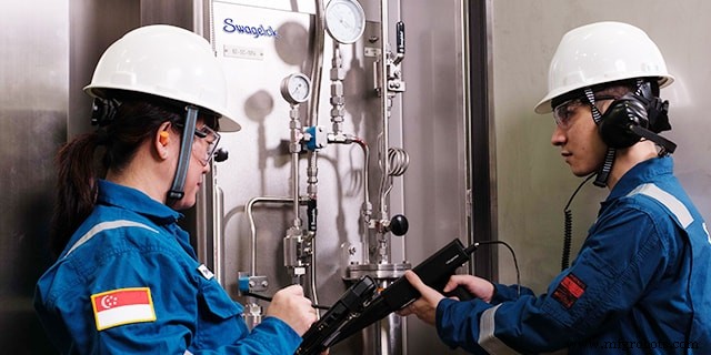 Bridging the Skills Gap: How Training & Advisory Services Propel Your Team s Success