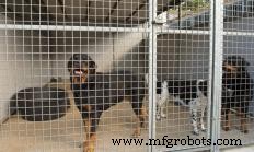 Rendering Plants Explained: Turning Animal By‑Products into Food, Fuel, and More