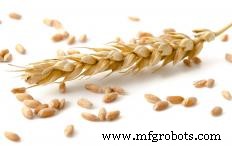 Explore the Varieties of Farm Tractors: Types, Uses, and Features