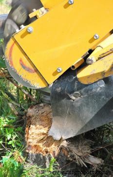 Expert Guide to the Most Effective Land Clearing Methods