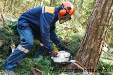 Expert Guide to the Most Effective Land Clearing Methods