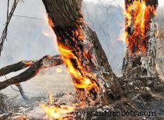 Expert Guide to the Most Effective Land Clearing Methods