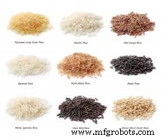 Cereal Crops Explained: Rice, Wheat, and Corn – The Backbone of Global Food Supply