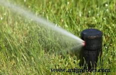 Explore the Variety of Irrigation Systems: From Residential Sprinklers to Large-Scale Pivot Irrigators