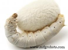 Explore the Variety of Textile Raw Materials: Natural & Synthetic Fibers Explained